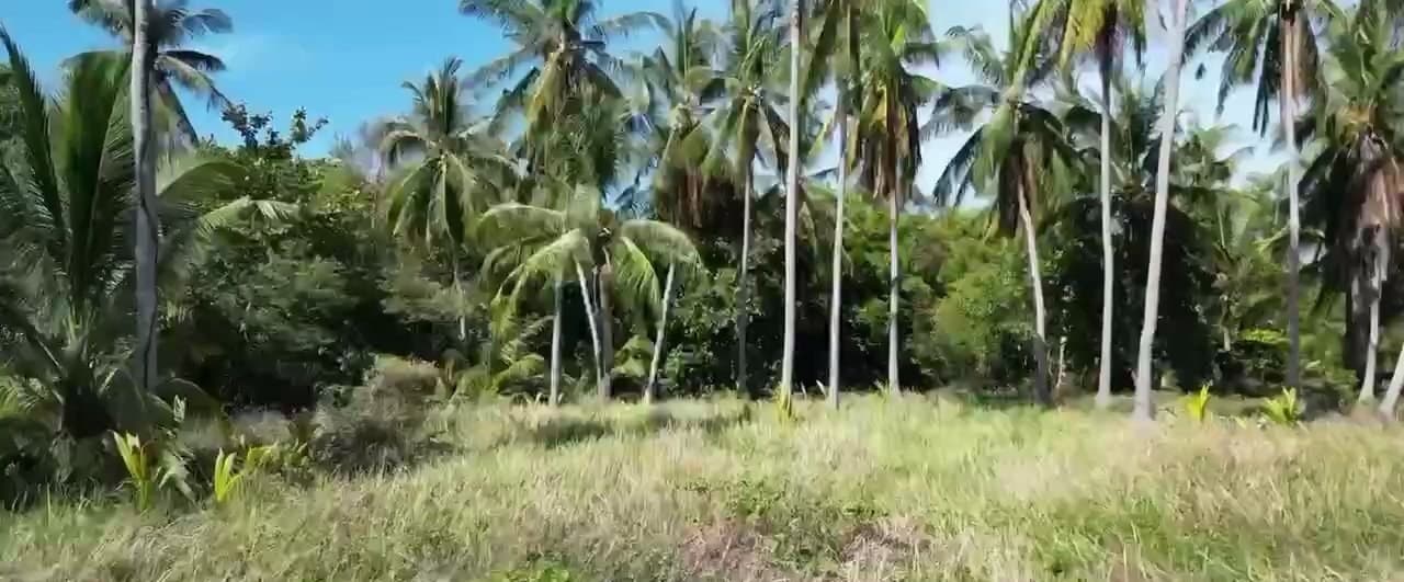 Land plot in the heart of Tong Sala (RW-0507) — photo 2
