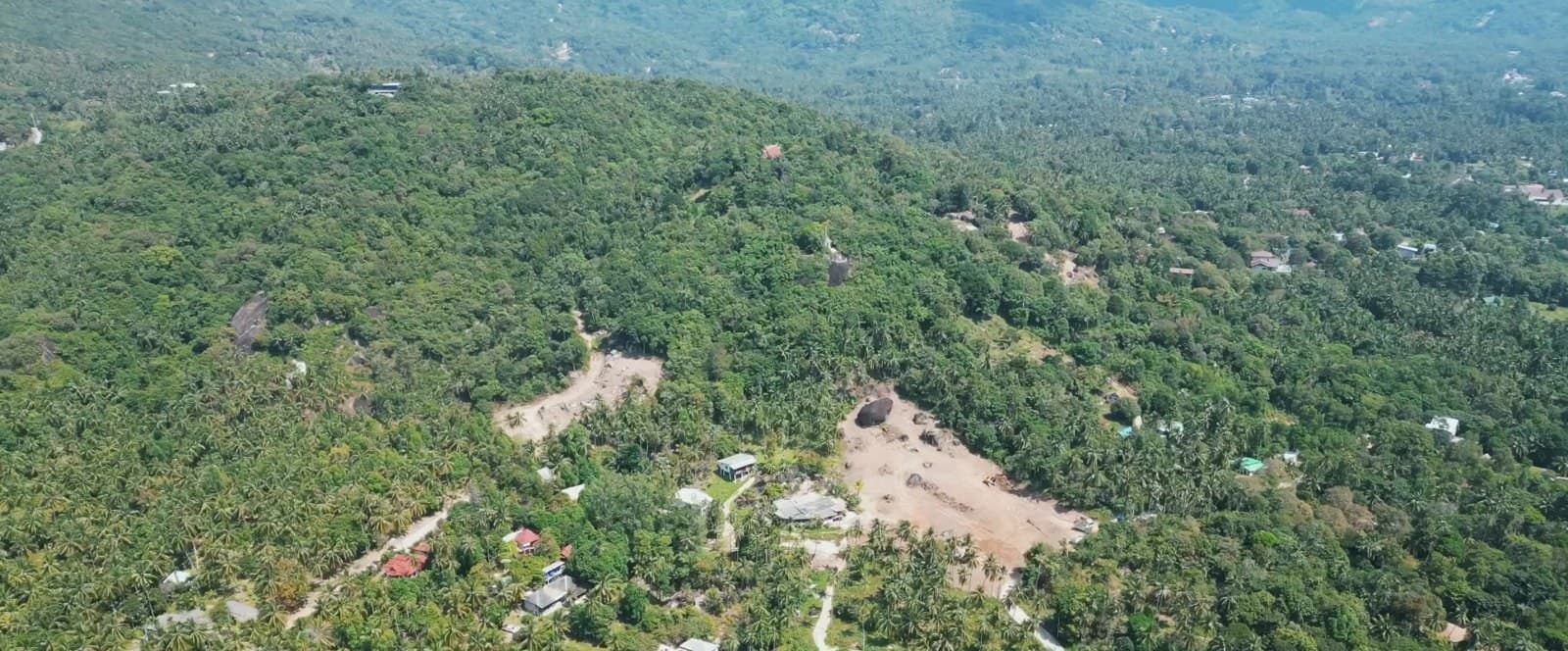 Jungle Rock Bar and Land Plot (RW-0511) — photo 3