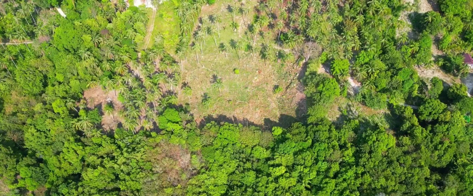 A beautiful plot of land near the Chaloklum viewpoint (RW-0512) — photo 4