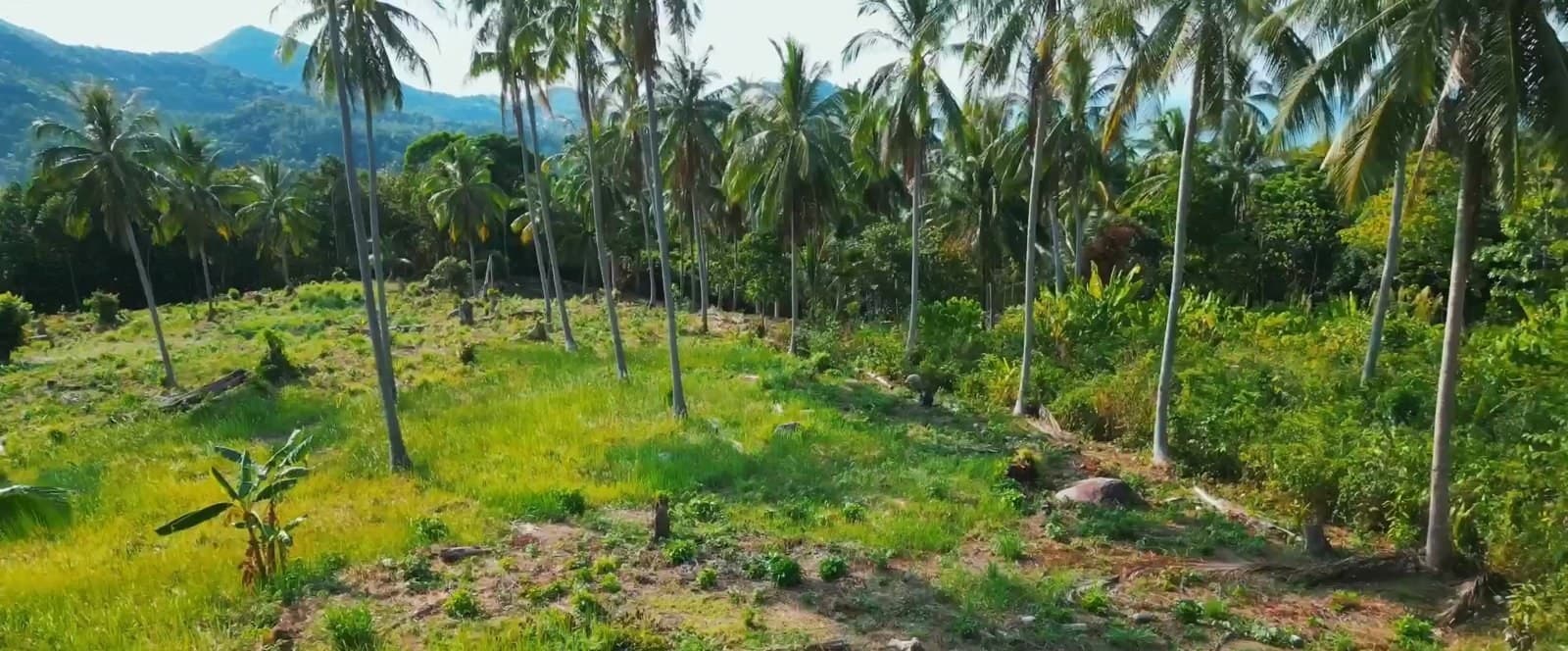 A beautiful plot of land near the Chaloklum viewpoint (RW-0512) — photo 6