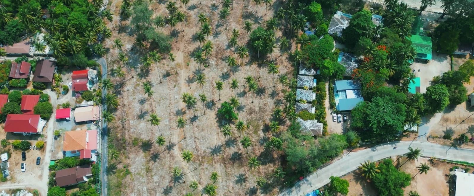 An incredible piece of coastal land in the most densely populated area (RW-0513) — photo 4