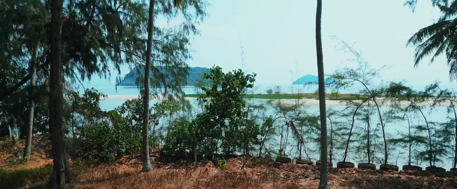 An incredible piece of coastal land in the most densely populated area (RW-0513) — photo 6