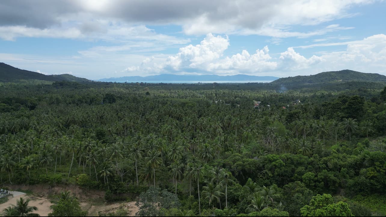 View land plots in the centre of the island