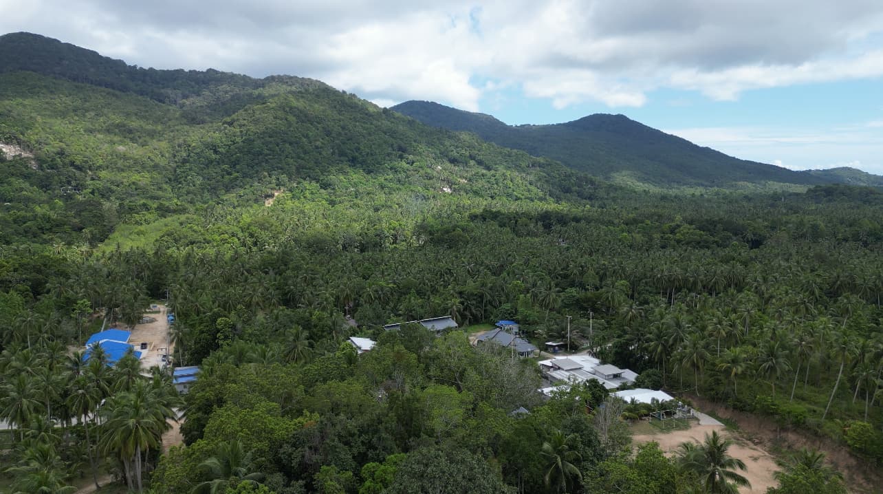 View land plots in the centre of the island (RW-0524) — photo 5