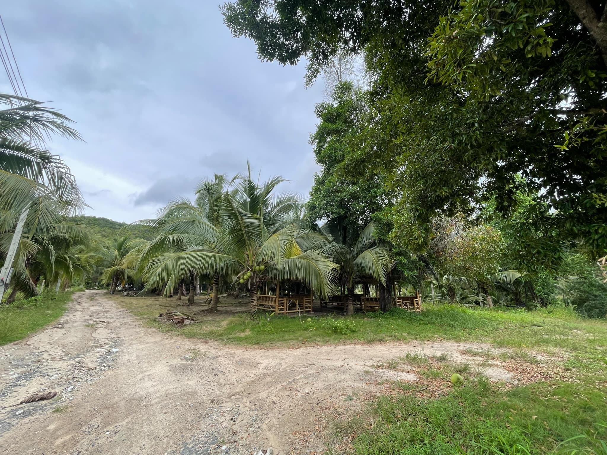 Land plot in Srithanu (RW-L0016) — photo 4