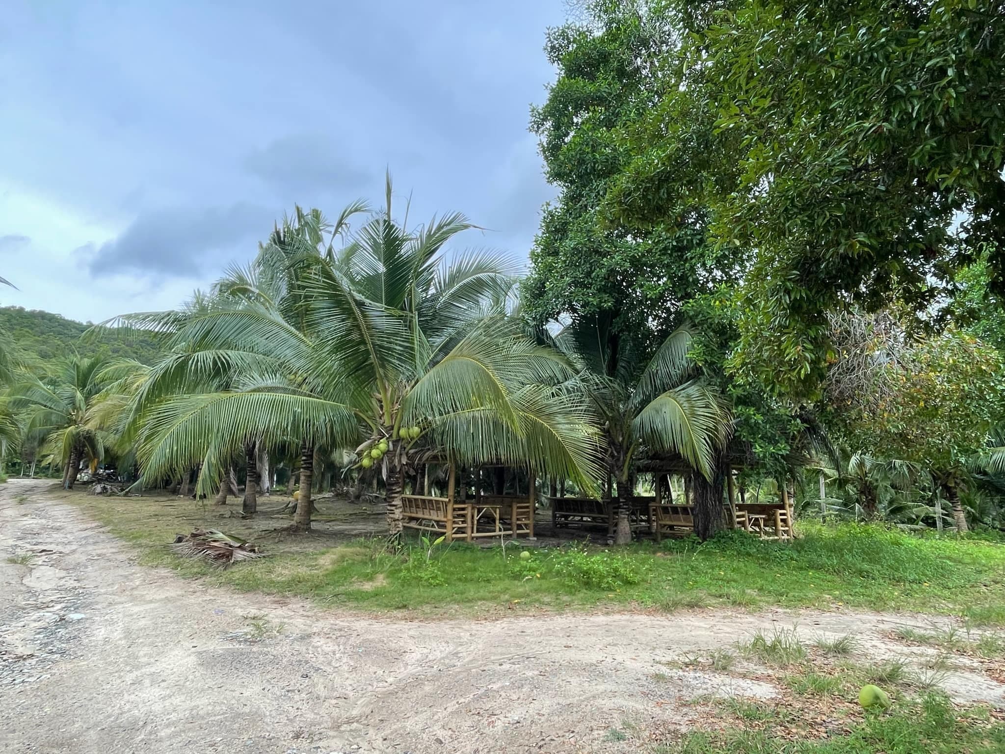 Land plot in Srithanu (RW-L0016) — photo 5