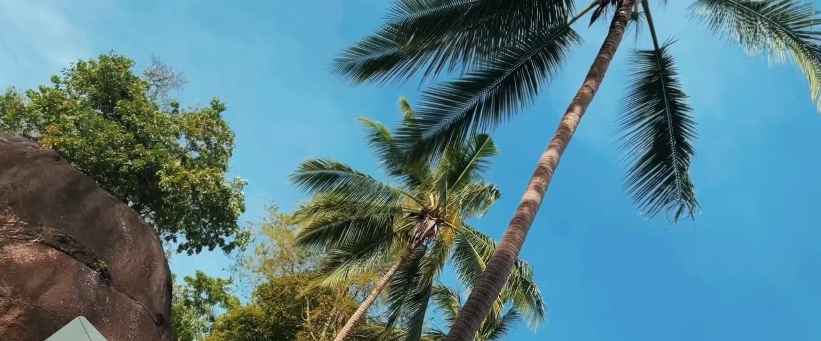 Land plot on Koh Phangan (RW-L0020) — photo 3