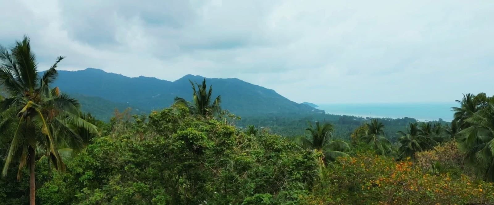 Land plot on Koh Phangan (RW-L0027) — photo 1