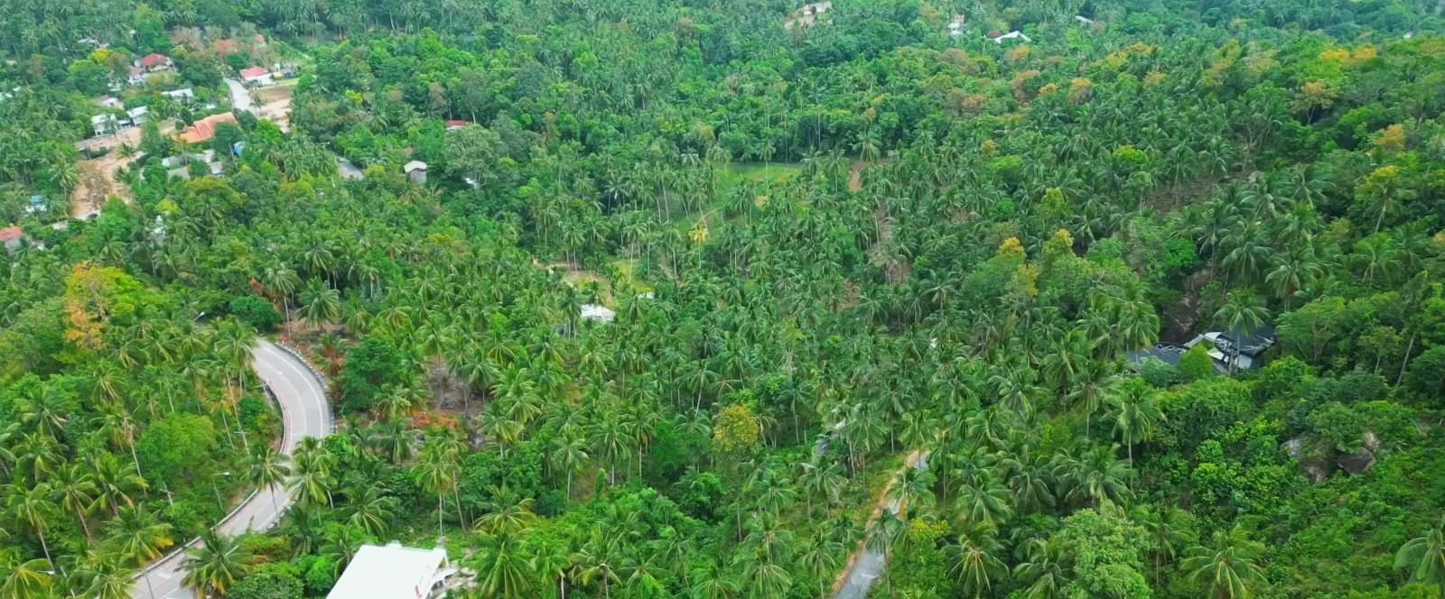 Land plot on Koh Phangan (RW-L0027) — photo 2