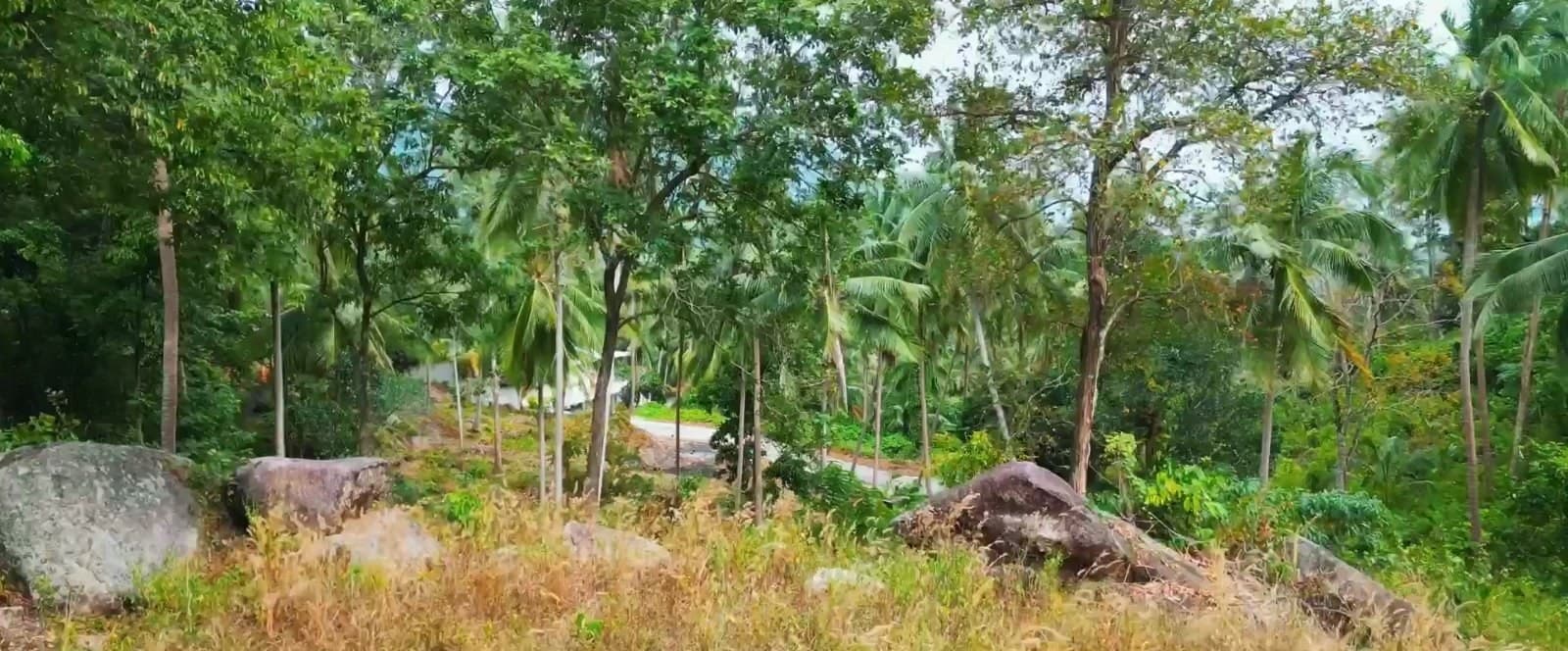 Land plot on Koh Phangan (RW-L0027) — photo 4