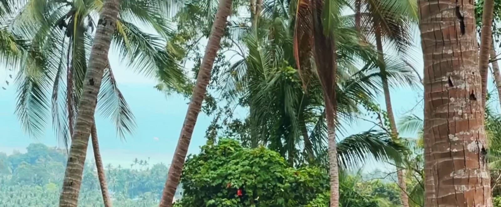 Land plot on Koh Phangan (RW-L0027) — photo 5