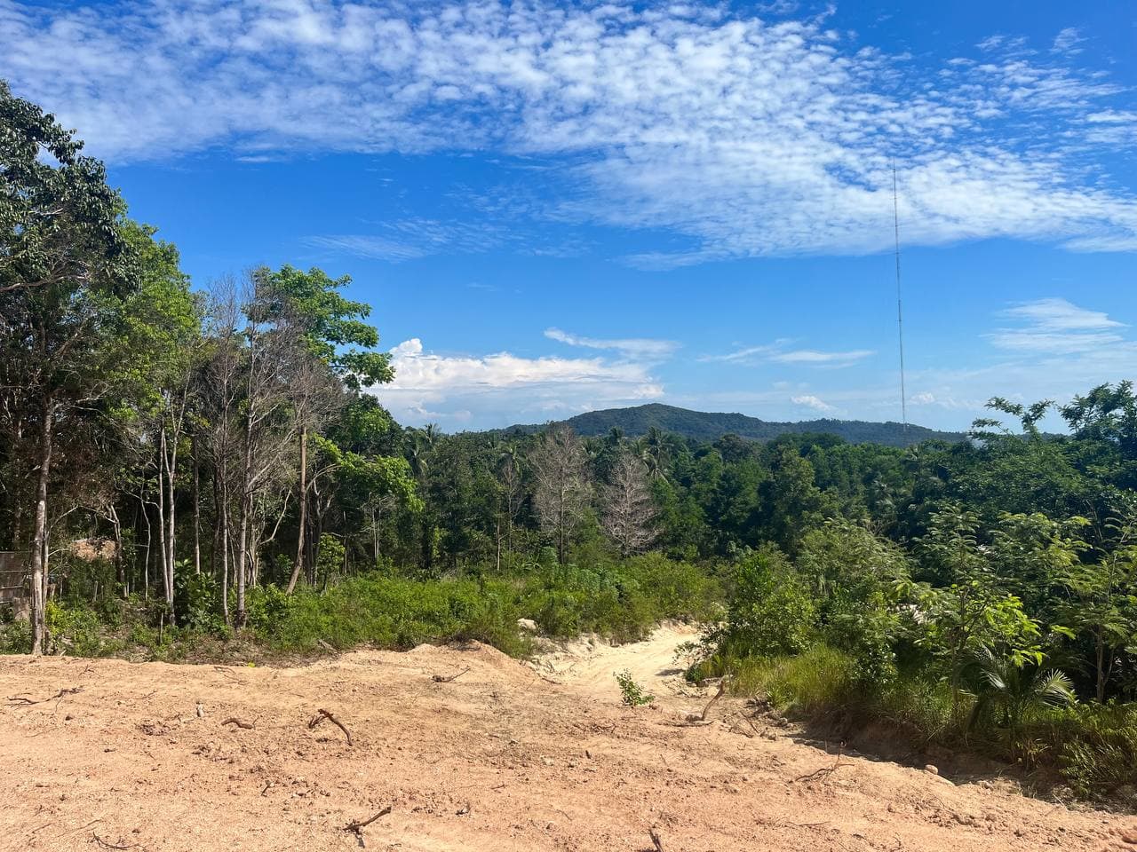 Land plot on Koh Phangan (RW-L0043) — photo 2