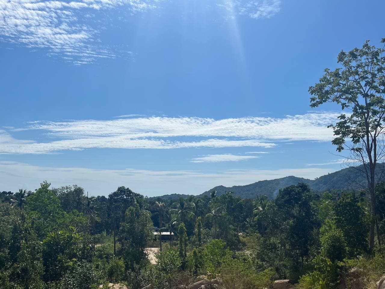 Land plot on Koh Phangan (RW-L0043) — photo 3