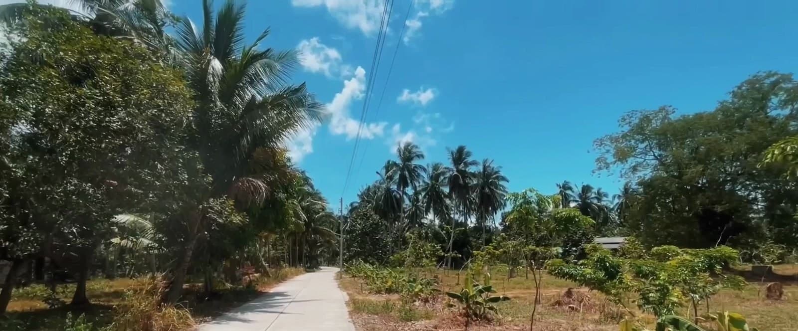 Land plot in Madeau Wan (RW-L0052) — photo 6
