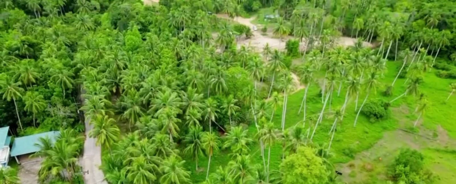 Land plot on Koh Phangan