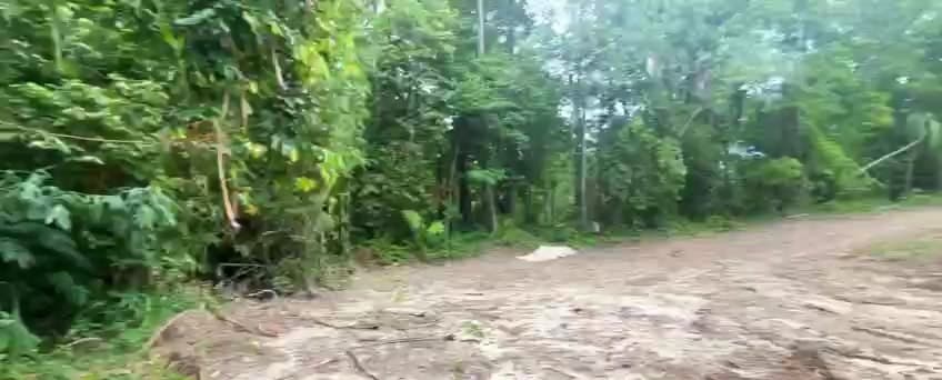 Land plot on Koh Phangan (RW-L0062) — photo 2