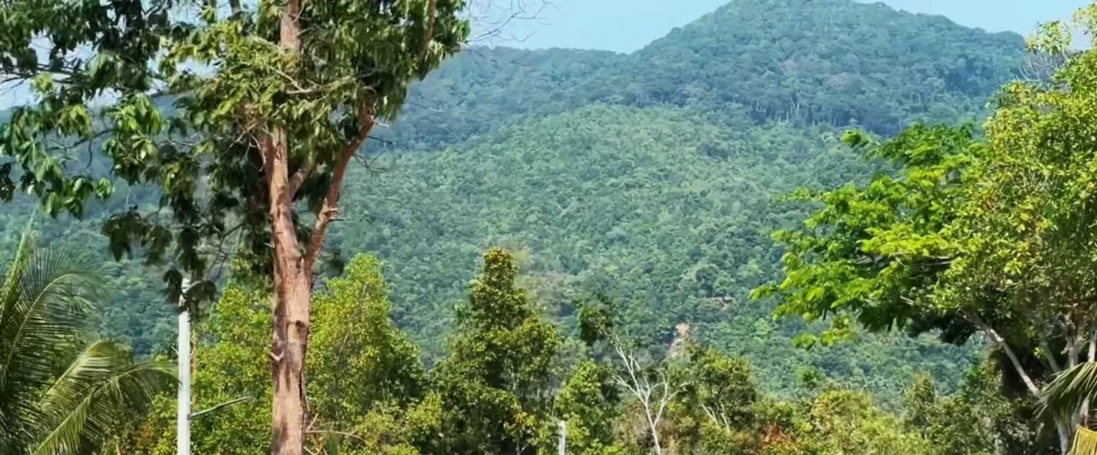 Land plot on Koh Phangan (RW-L0064) — photo 2
