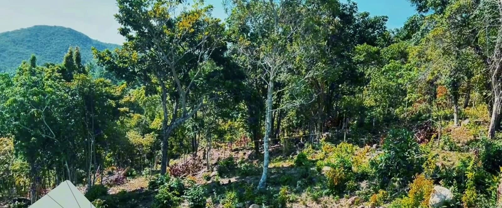 Land plot in Srithanu (RW-L0067) — photo 2