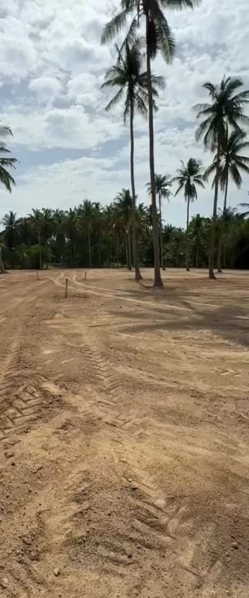 Land plot in Hin Kong (RW-L0068) — photo 2