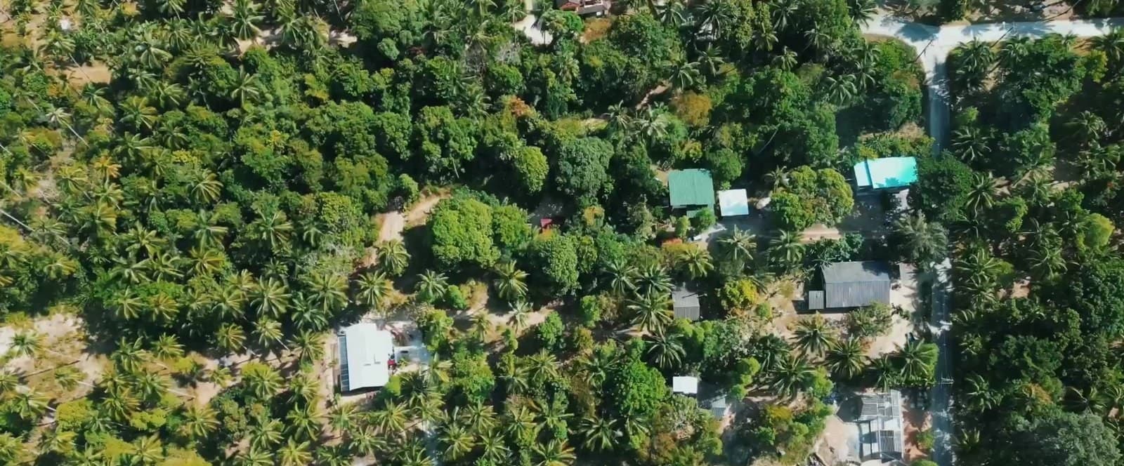 Land plot on Koh Phangan (RW-L0071) — photo 3
