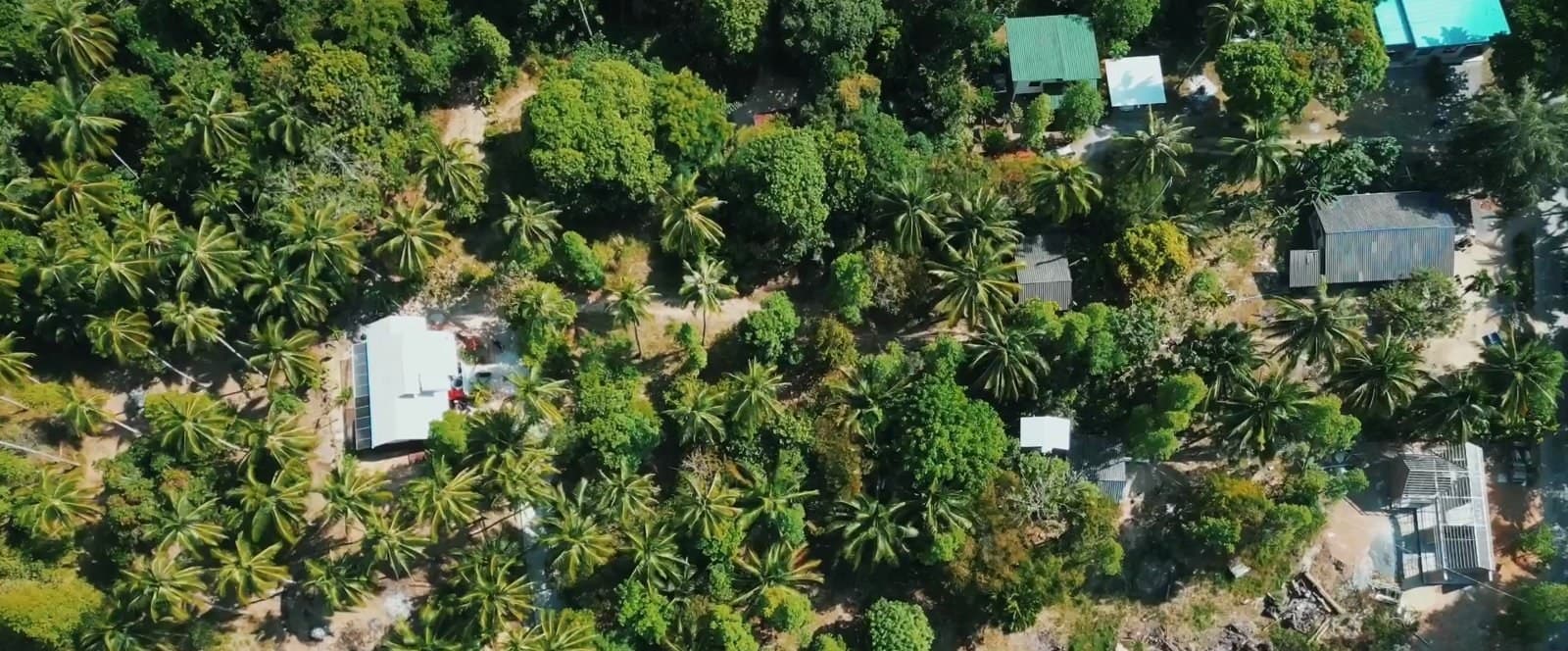Land plot on Koh Phangan (RW-L0071) — photo 4