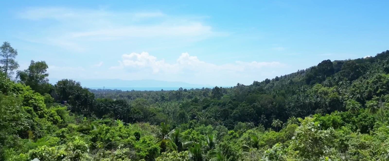Magnificent plot of land with waterfalls, suitable for a nightclub or resort