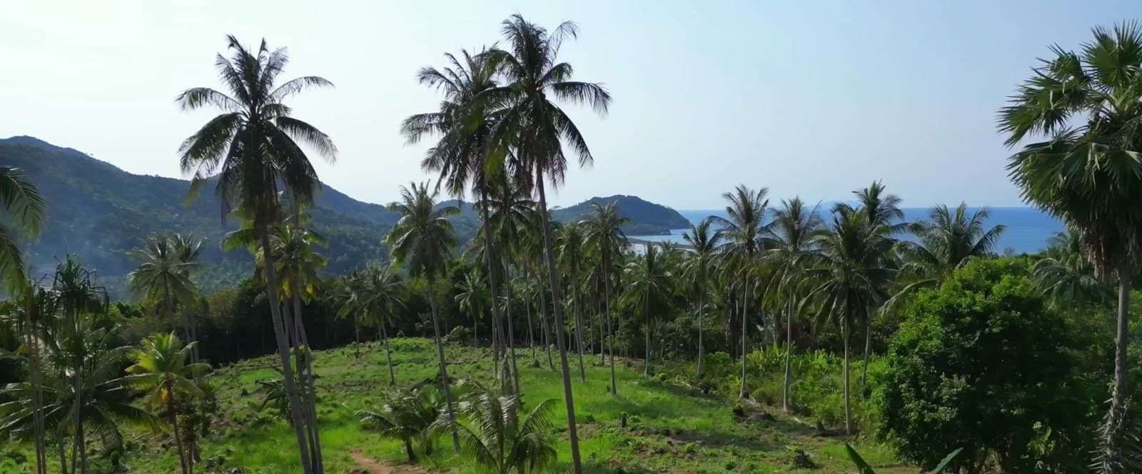 A beautiful plot of land near the Chaloklum viewpoint