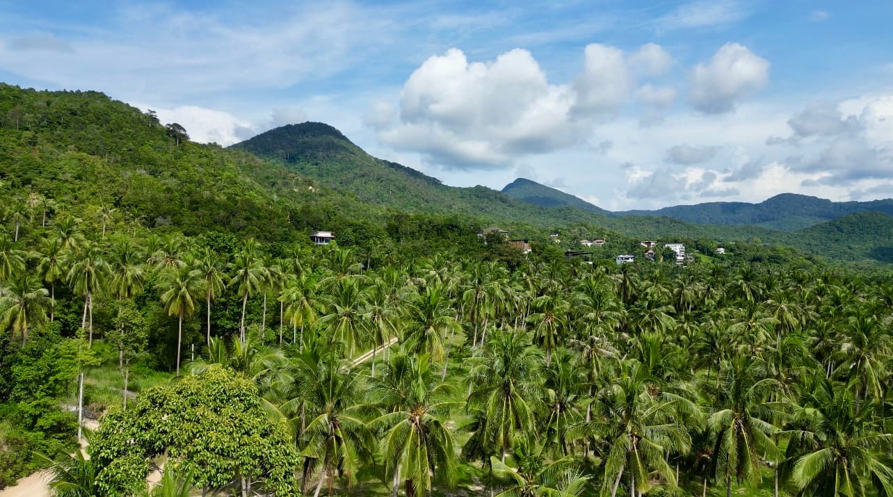 Land plot in Srithanu