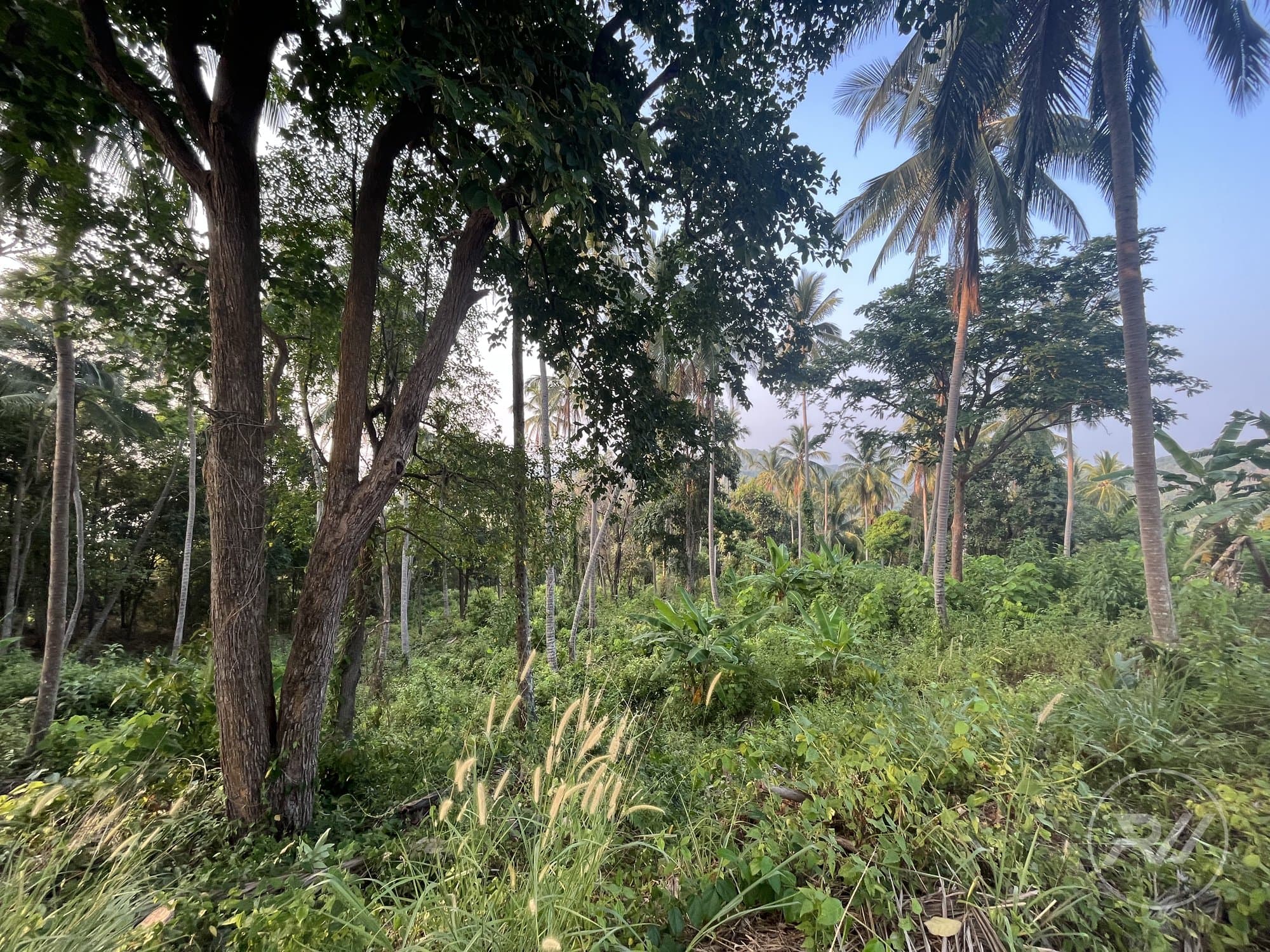 Land plot in Haad Salad