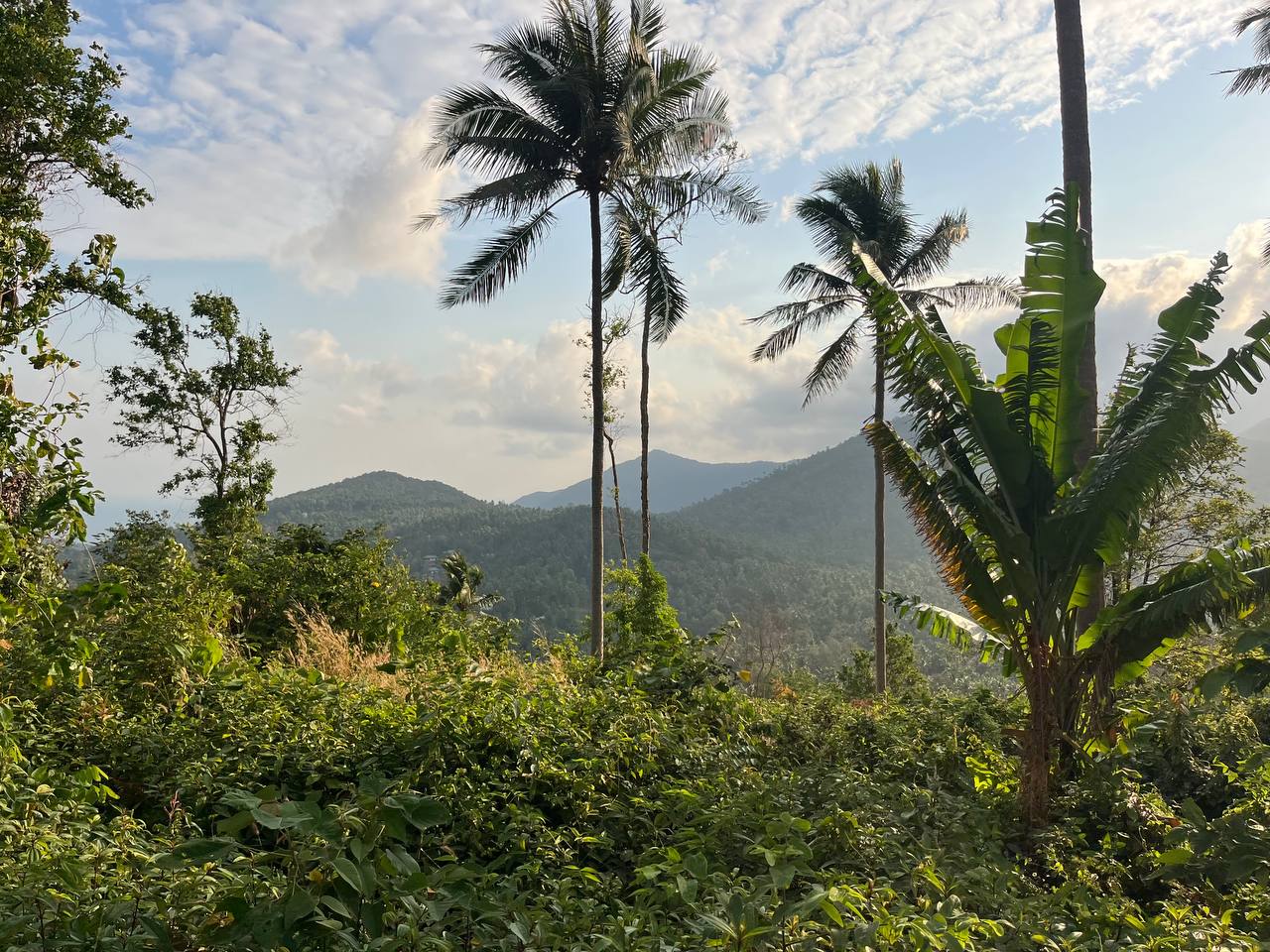 Haad Yao Hillside — plot collection — M10 (5)