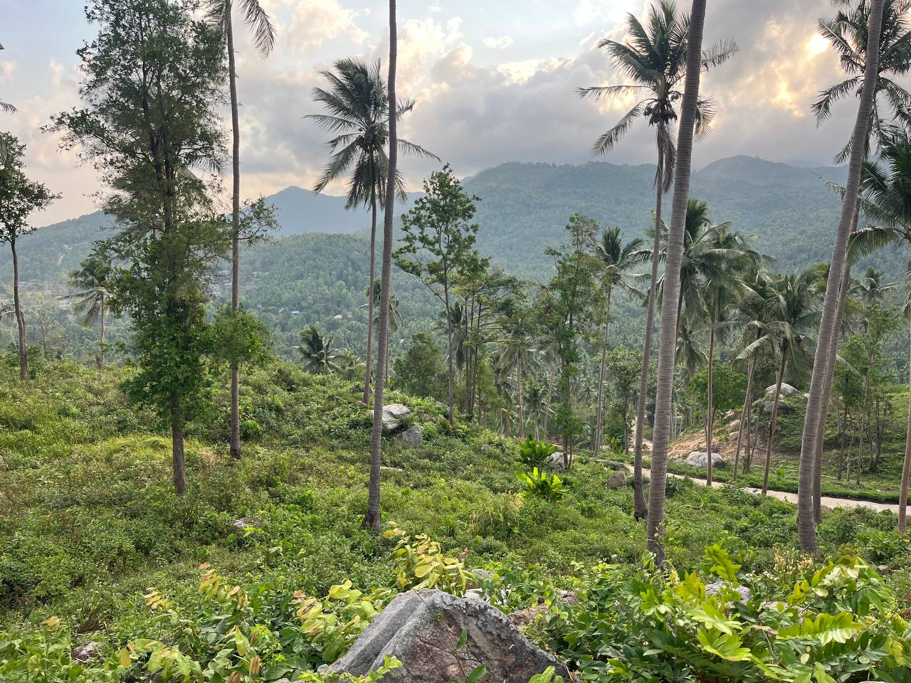 Haad Yao Hillside — plot collection — M2 (1)