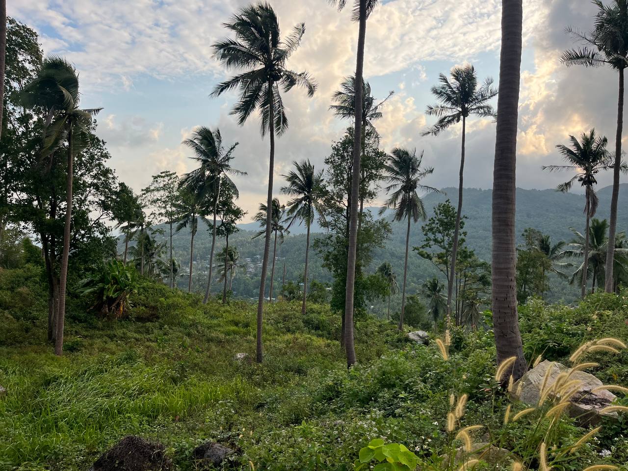 Haad Yao Hillside — plot collection — M2 (2)