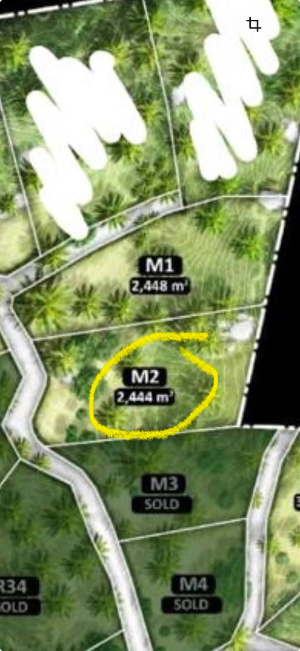 Haad Yao Hillside — plot collection — M2 (6)