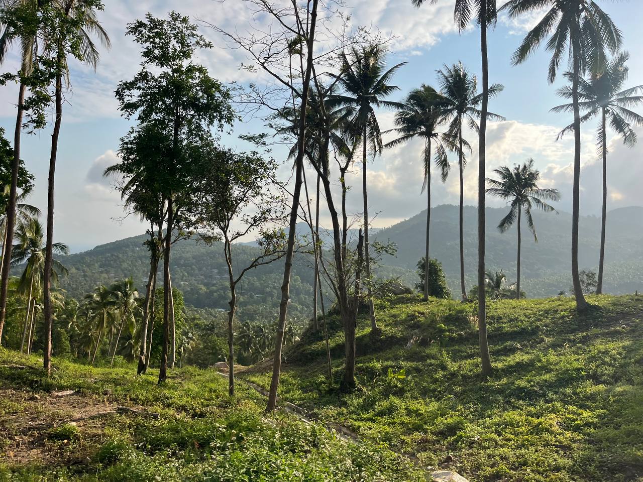 Haad Yao Hillside — plot collection — M5 (4)