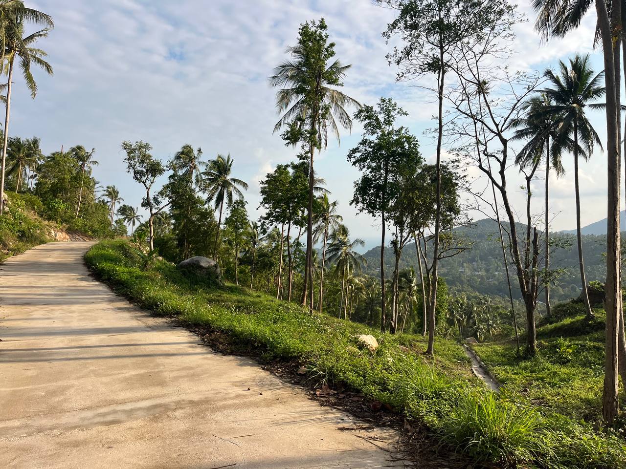 Haad Yao Hillside — plot collection — M5 (5)