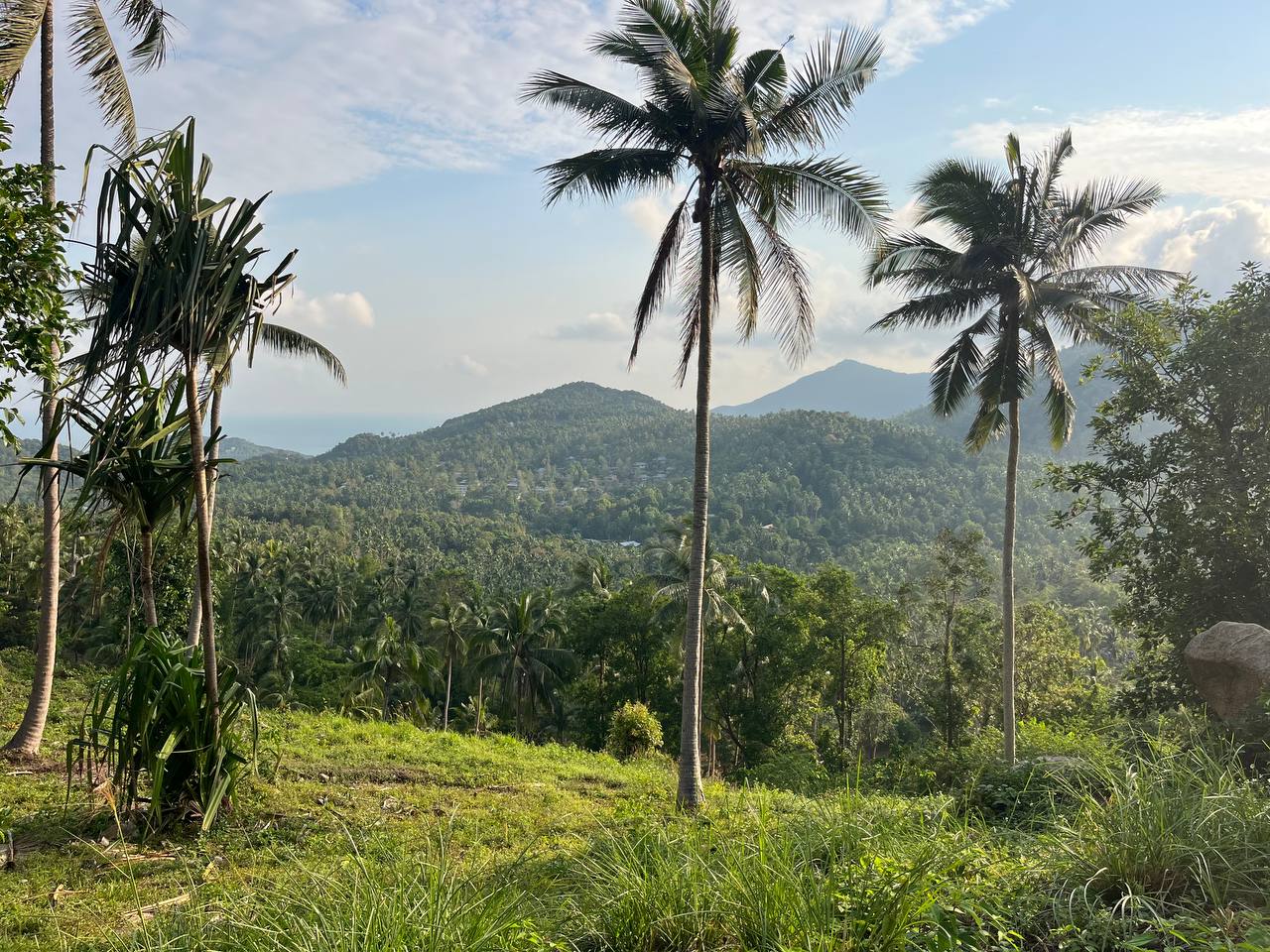 Haad Yao Hillside — plot collection — M6 (2)