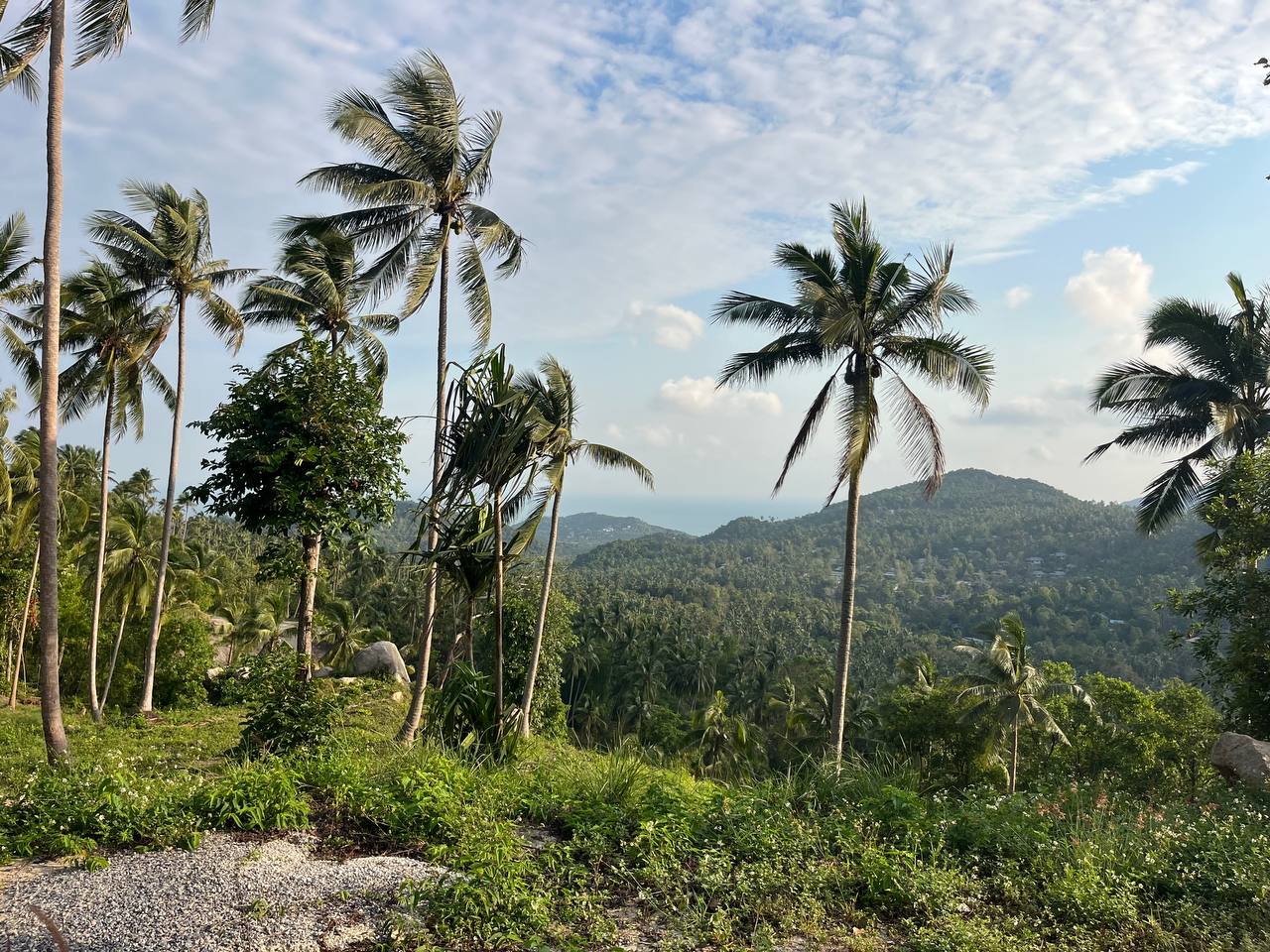 Haad Yao Hillside — plot collection — M6 (6)