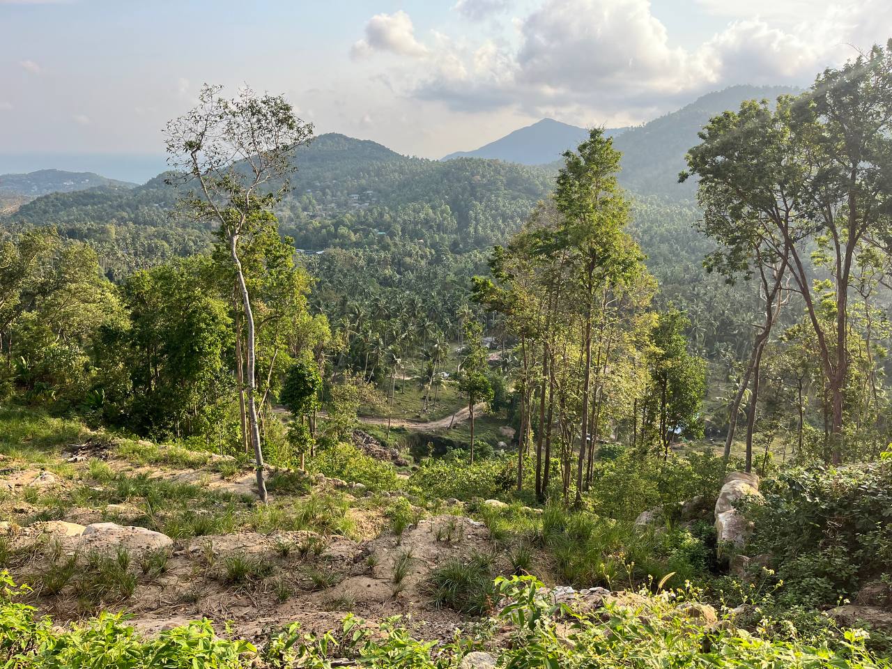 Haad Yao Hillside — plot collection — M7 (3)