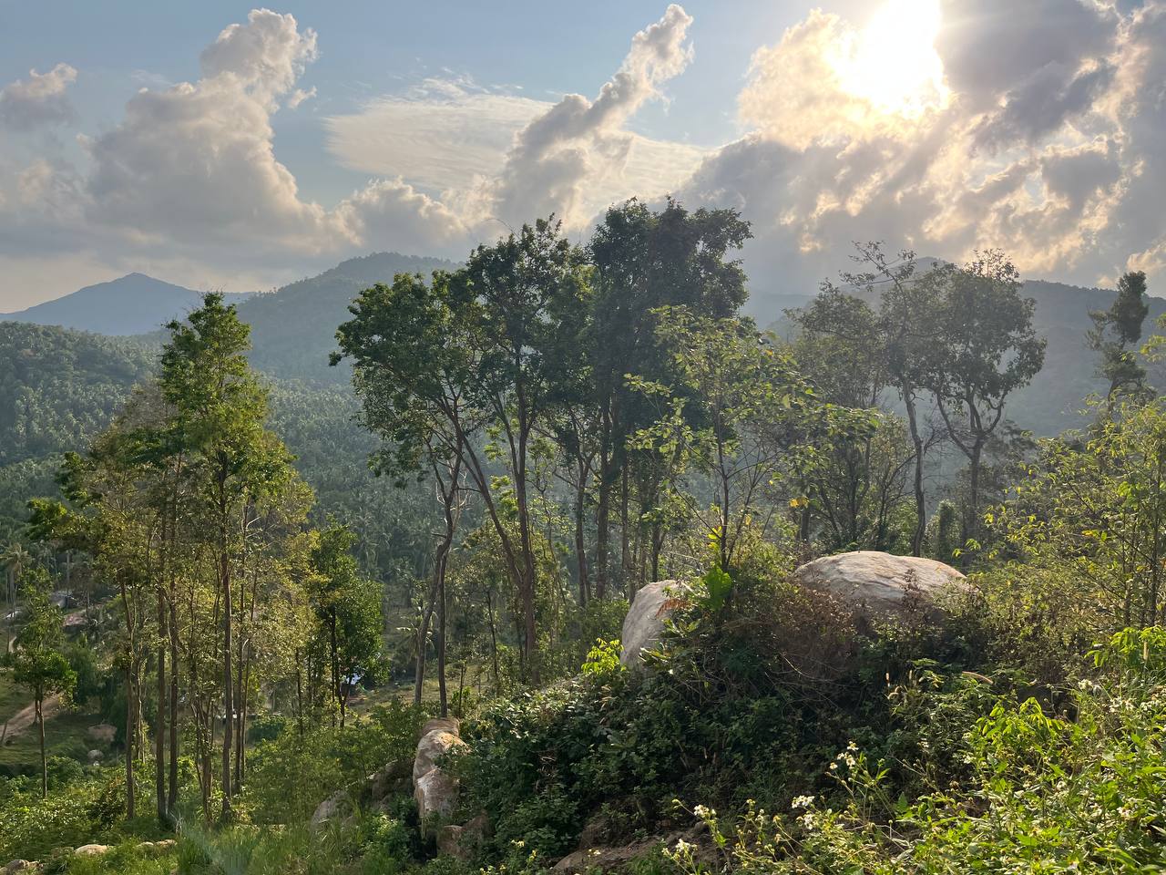 Haad Yao Hillside — plot collection — M7 (4)