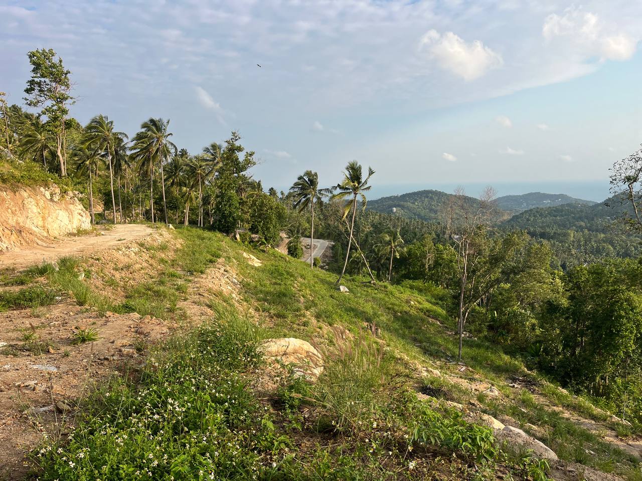 Haad Yao Hillside — plot collection — M7 (5)