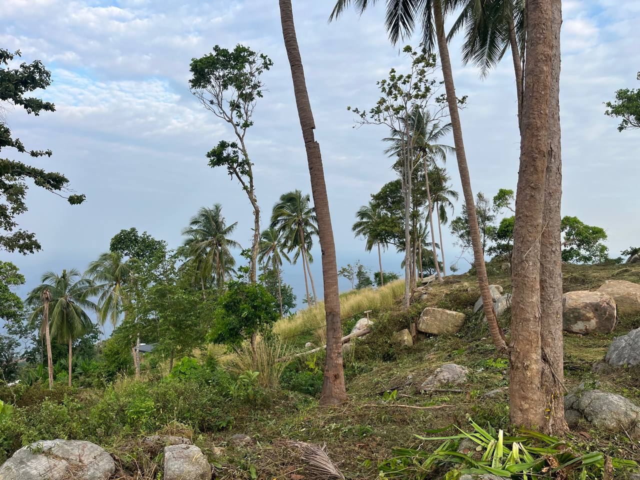 Haad Yao Hillside — plot collection — R1 (3)