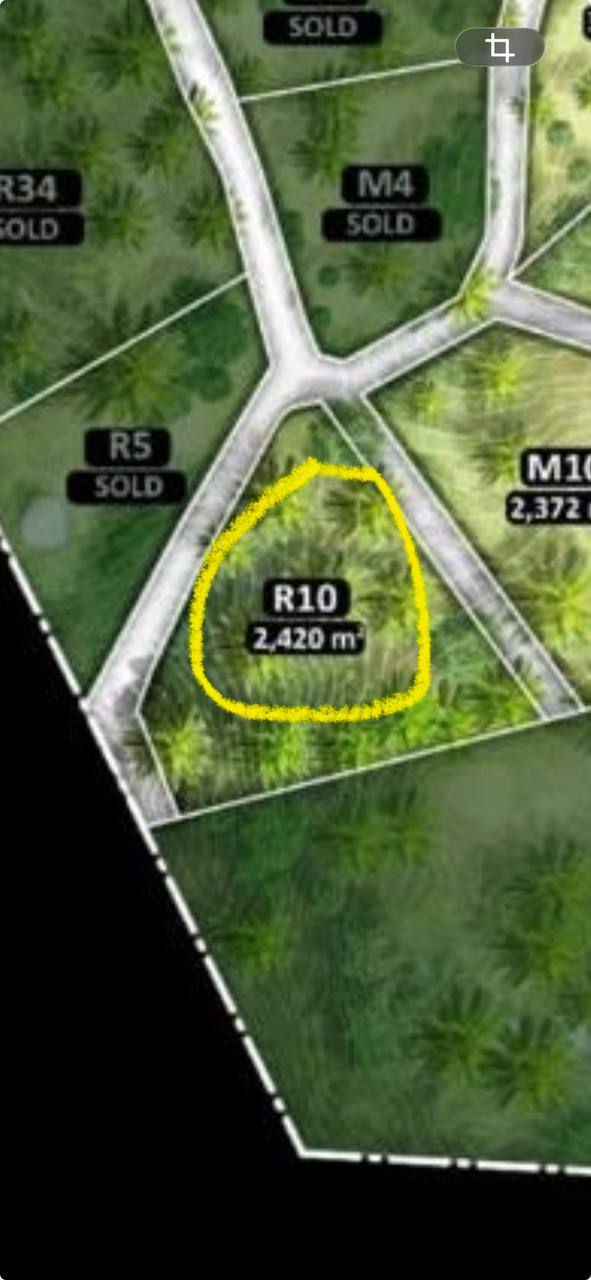 Haad Yao Hillside — plot collection — R10 (1)