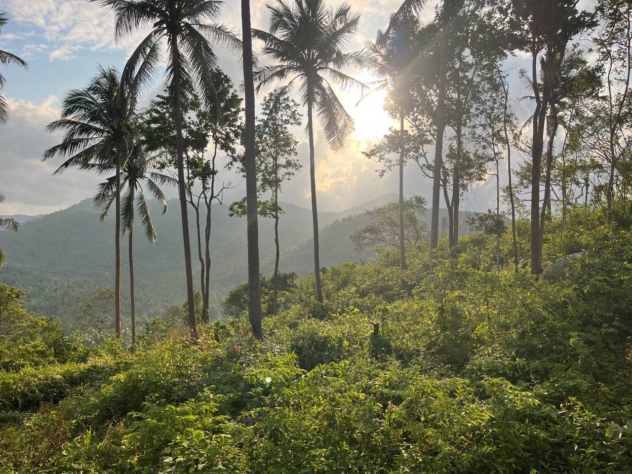 Haad Yao Hillside — plot collection — R10 (5)