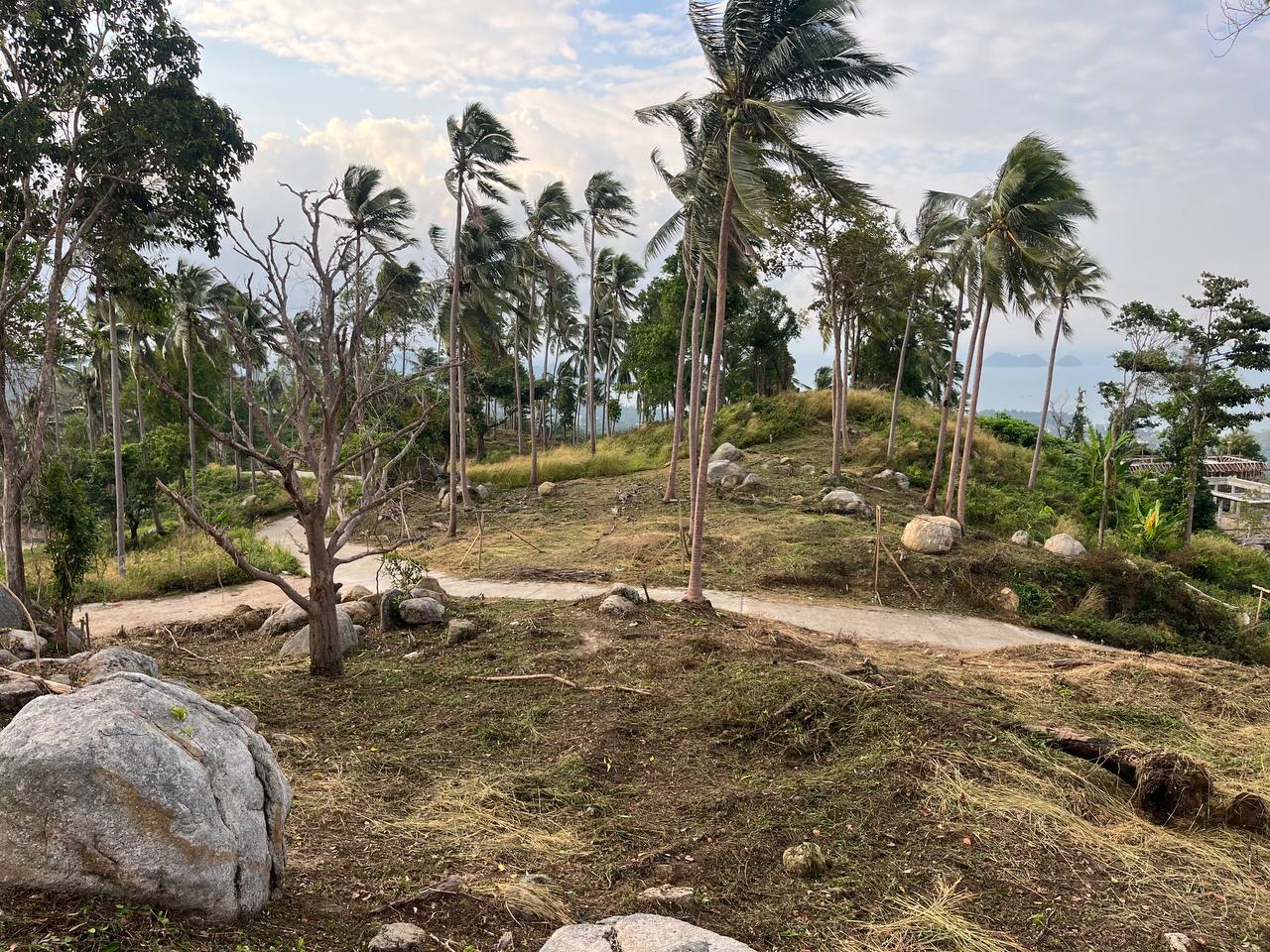 Haad Yao Hillside — plot collection — R7 (5)