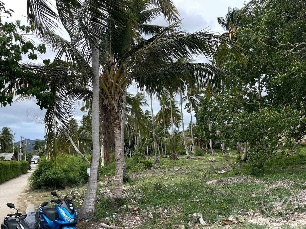The first coastline plot of land is ideal for building a resort (RW-0516) — photo 7