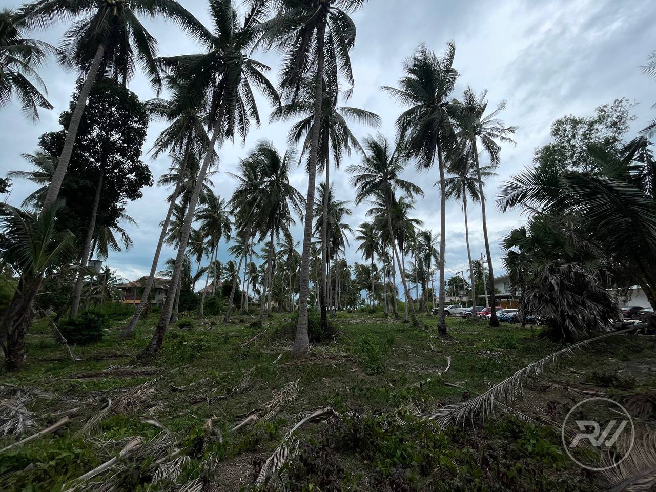 The first coastline plot of land is ideal for building a resort (RW-0516) — photo 13