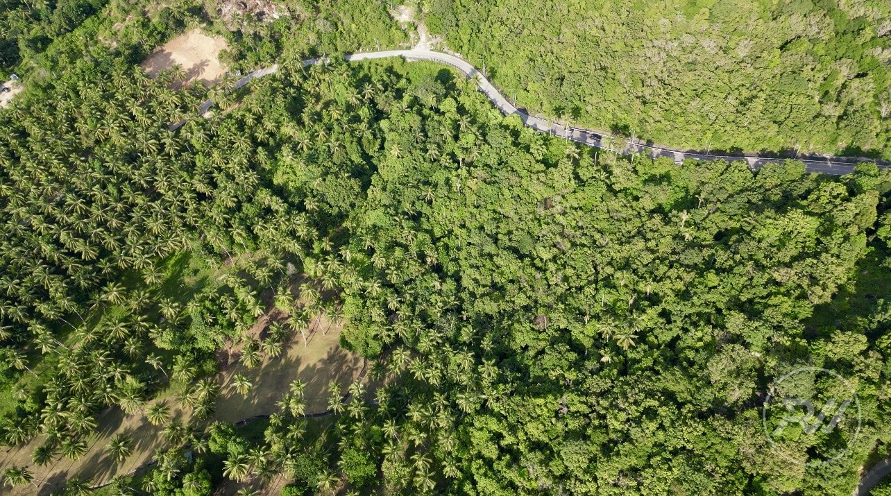 A wonderful plot of land on the pass (RW-0527) — photo 5