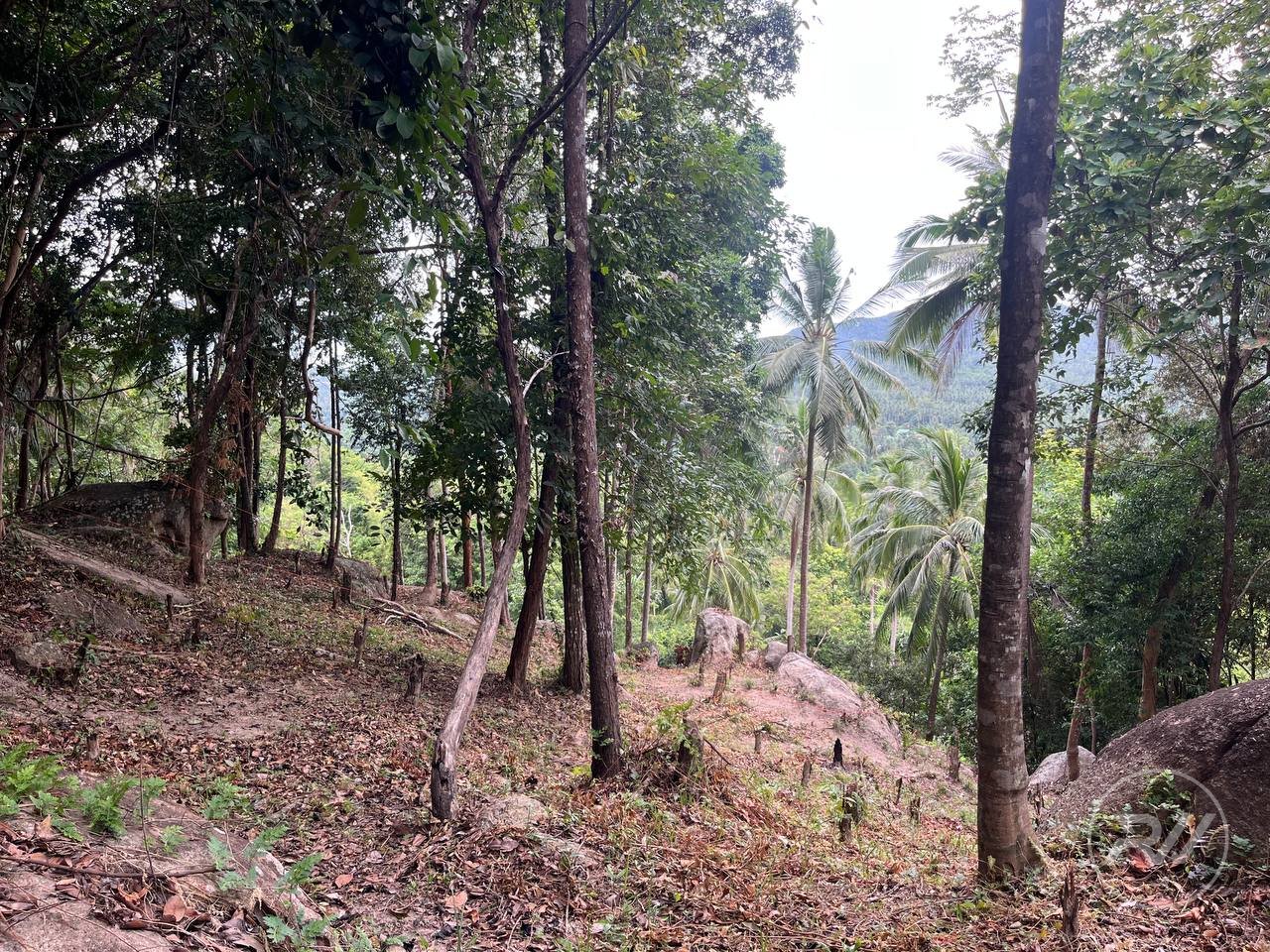 Small Sea-View Plot in the Heart of the Island (RW-0583) — photo 5