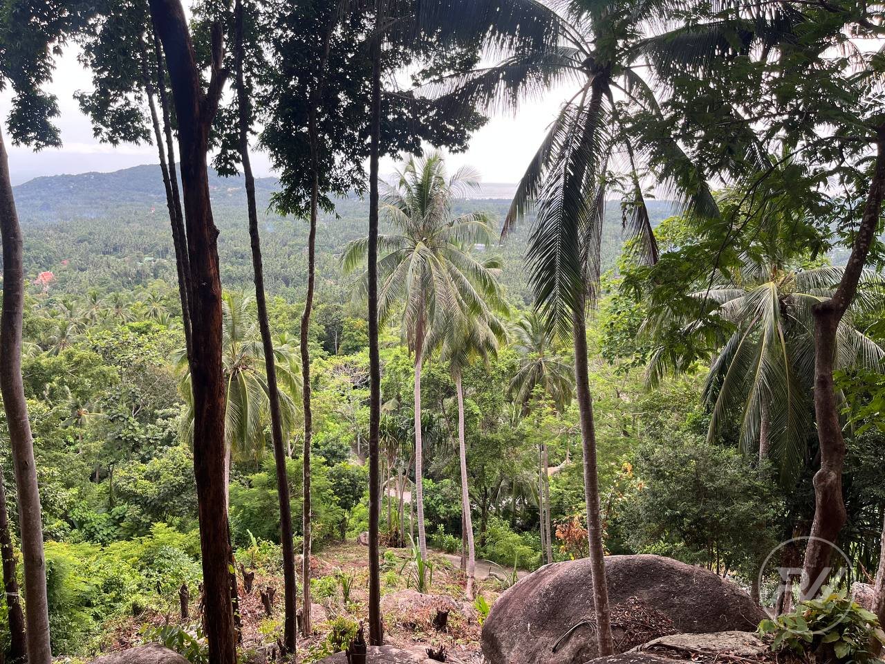 Small Sea-View Plot in the Heart of the Island (RW-0583) — photo 8