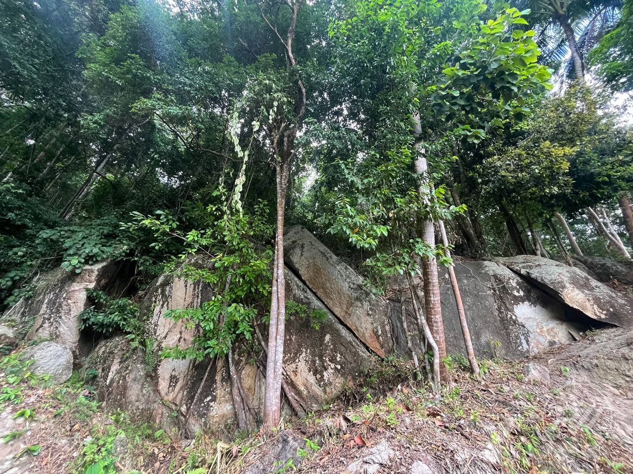 Small Sea-View Plot in the Heart of the Island (RW-0583) — photo 9